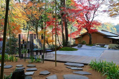 现代园林景观设计中色彩运用的艺术与科学