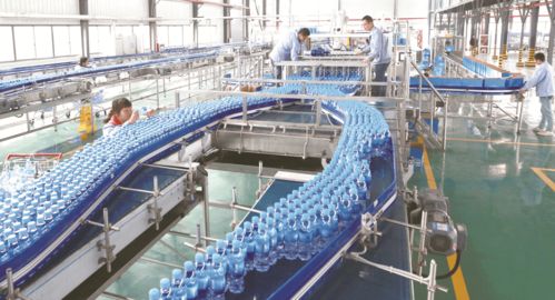 喜报！大丰荣登第二批国家全域旅游示范区名单，擘画文旅发展新蓝图